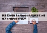 杨浦区块链开发公司有哪些公司[杨浦区块链开发公司有哪些公司招聘]